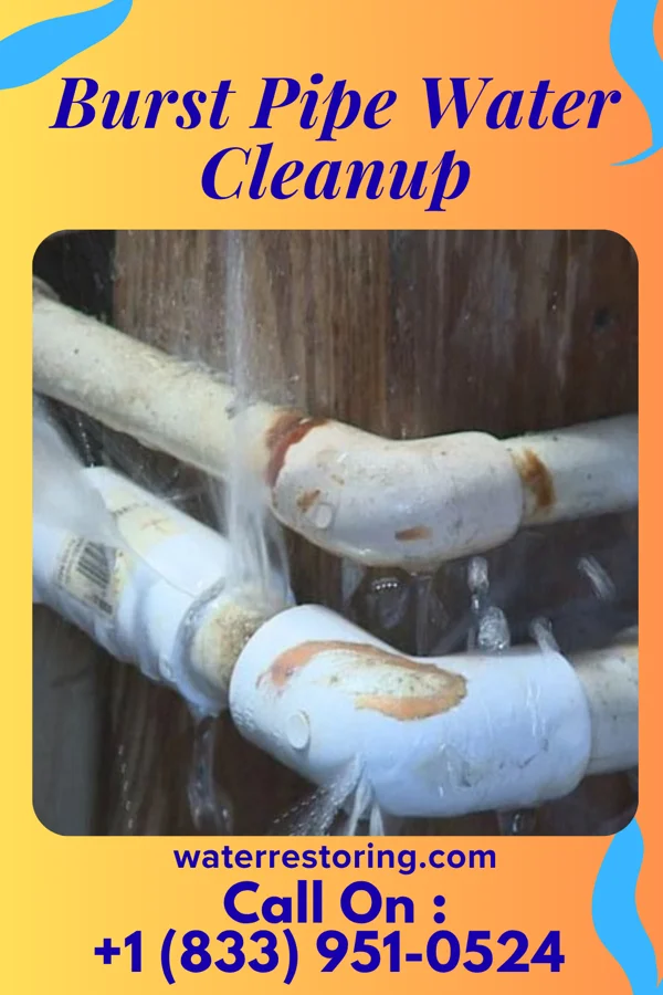 Burst Pipe Water Cleanup in Sharon, OK