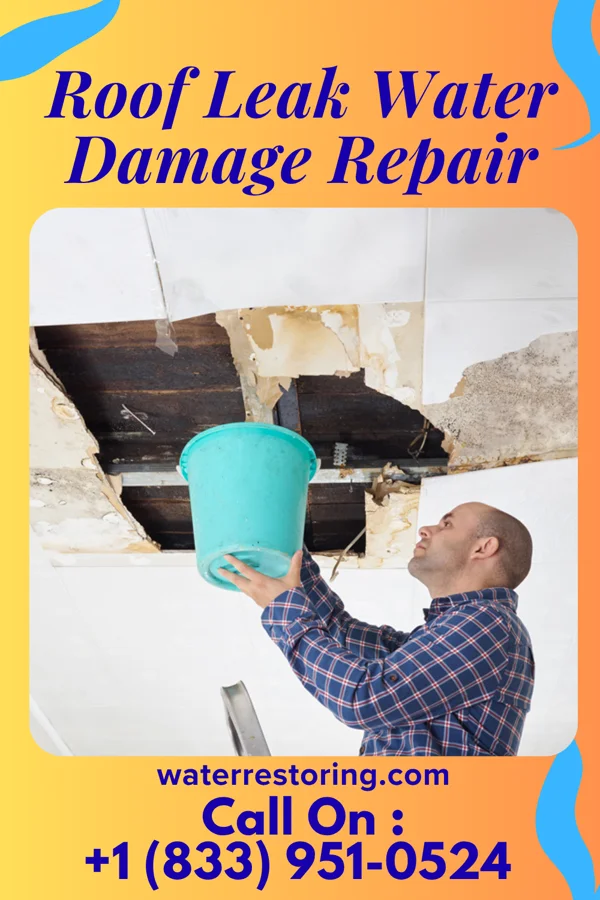 Roof Leak Water Damage Repair in Sharon, OK